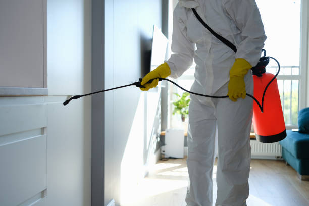 Best HVAC Mold Remediation in Flower Mound, TX