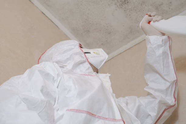 Best Kitchen Mold Remediation in Flower Mound, TX