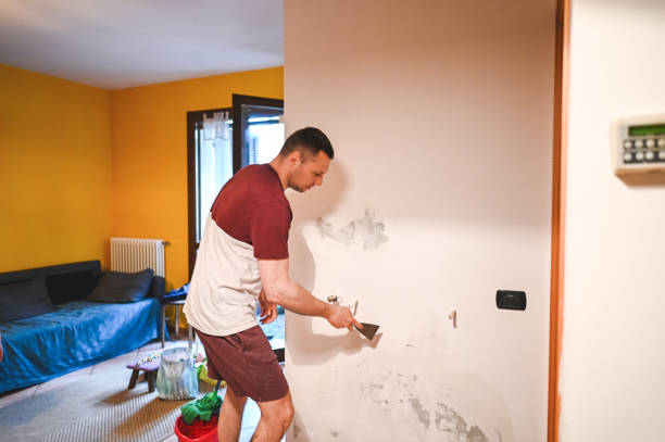 Best Emergency Mold Remediation in Flower Mound, TX